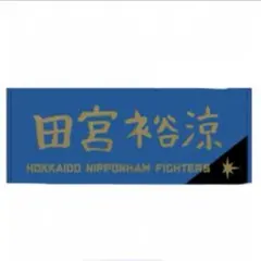 乃木坂46×FIGHTERS コラボグッズ 直筆デザイン応援タオル 金川紗耶