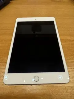 iPad mini 4 16gb wifi model A1538