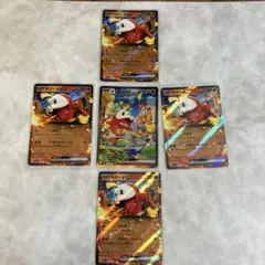 ポケモンカード ホゲータex SAR RR 30th