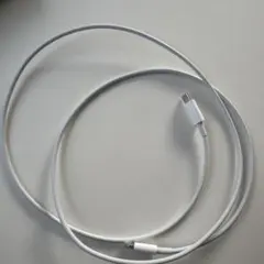 Apple純正 Lightningケーブル ホワイト TypeC