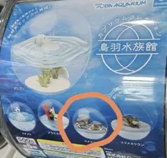 鳥羽水族館 カプリウムコレクション 4個セット - メルカリ