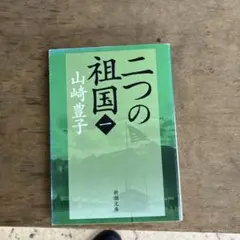 二つの祖国 第1巻