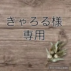 きゃろる様 リクエスト 2点 まとめ商品