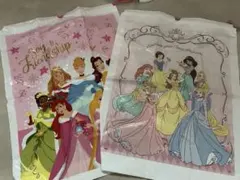 ディズニープリンセス バッグ 2枚セット