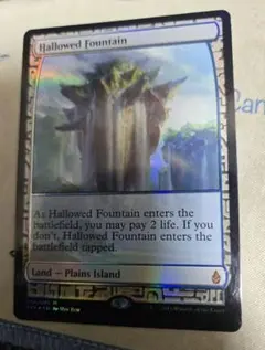 たすくMTG 溢れかえる岸辺 英語版 たすく様専用MTG 溢れかえる岸辺 英語版 - メルカリ