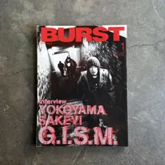 稀少美品/GISM/限定A4sizeシルクスクリーンポスターA/横山SAKEVI 稀少美品/GISM/限定A4sizeシルクスクリーンポスターD/横山SAKEVI