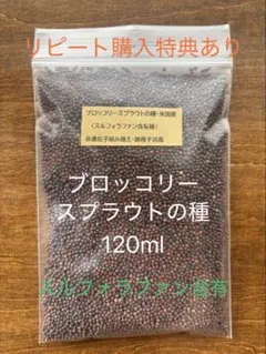 O-DEN様 リクエスト 2点 まとめ商品