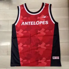 アンテロープス レッドクルーザーズ レッドテリアーズ スケート トヨタ自動車