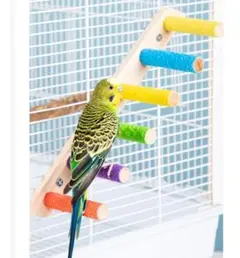 Item thumbnail for item 45163b0c-9d55-4a2d-83e0-b5ffe6dd0f17