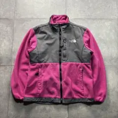 【希少カラー】THE NORTH FACE フリースジャケット デナリジャケット