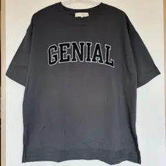 LOGOS DAYS GENIAL Tシャツ Lサイズ グレー