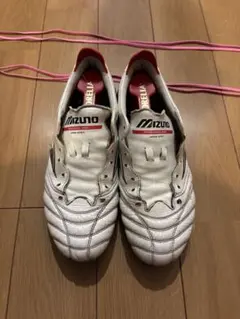 2025年最新】モレリアネオ4 25の人気アイテム - メルカリ