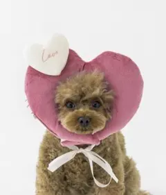 Item thumbnail for item f9b32d5a-aa9d-447c-967f-ad2e7889c51d