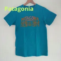 Patagonia Tシャツ メンズ Sサイズ