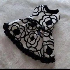 犬服黒レースカメリアワンピース
