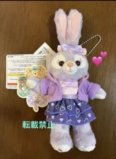 レアです❣️タグ付★レア★ステラルー ぬいぐるみバッジ ハートウォーミングデイズ