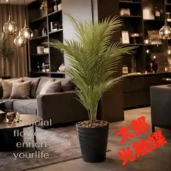 光触媒　人工観葉植物　ウォールグリーン　フェイクグリーン　パームツリー95