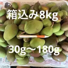 宮崎県産ブルーマンゴー【8kg】100~250g多め⭐︎ - メルカリ