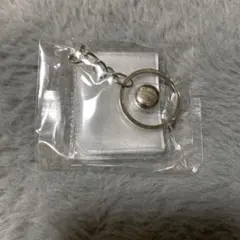 ミニシール帳キーホルダー