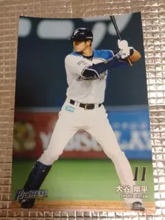 大谷翔平 2015 ハイライトフォト No.170 日本ハム 球団公式写真