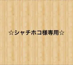 ポーセラーツ 転写紙 ブランド レア 白磁用