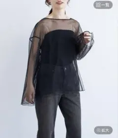 シースルーブラックトップス FREE SIZE