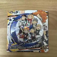 2026年最新】ハイキューコレクション缶バッジ 10周年ver.の人気