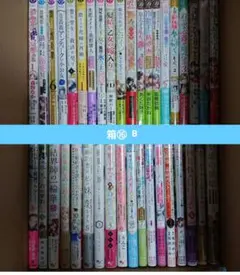 Asami Matsuo 様 専用 箱⑯B