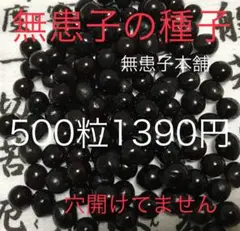 値下げ‼️無患子本舗　12.5mm sizeムクロジの種子穴開いてません500粒