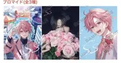 さとみブロマイドコンプリートセット