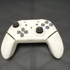 ホワイト コントローラー N5911