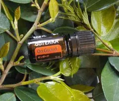 【❗️新品 未開封 最安】ドテラ doTERRA オンガード 5ml 28年後期