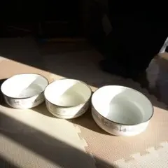 Item thumbnail for item a8dc6e2d-5383-4390-b1d0-d7b45ed85009