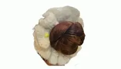 Item thumbnail for item 849f00bf-c854-4726-af60-26f67a58bb0c