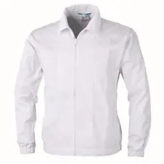 Item thumbnail for item 7e012e8f-2537-4964-bf3d-ad5767dd2268