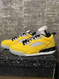 【新品未使用】ジョーダンスパイジーク LOW