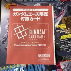 ガンダムエース限定付録カード EXBP-031 本はつきません - メルカリ