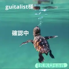 guitalist様 リクエスト 2点 まとめ商品