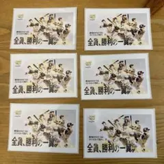 ソフトバンクホークス　ステッカー