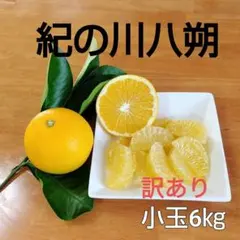和歌山県産　訳あり八朔小玉6kg