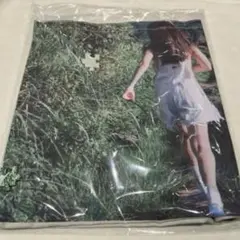 Item thumbnail for item 1121e8c4-7f60-4205-835b-63ee77c691d7