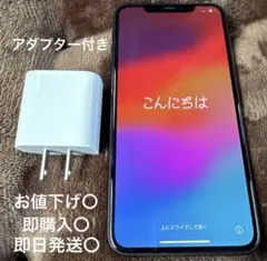 Apple iPhone11 Promax SIMフリー 64GBスペースグレー