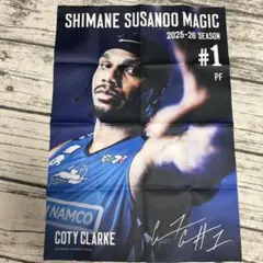 【匿名配送】島根スサノオマジック　ランダム布ポスター　コティクラーク選手