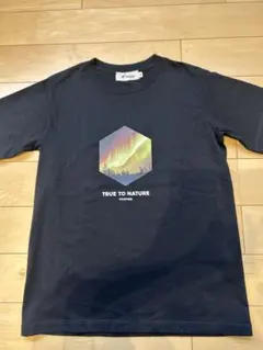 Item thumbnail for item 3c3a5858-722e-46d0-b405-2bce03646c43