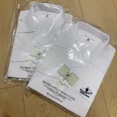 Item thumbnail for item 8c959ba5-902c-43b8-b00a-5fca664a41af