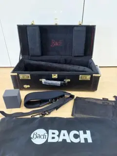 Item thumbnail for item d32ded53-9214-4206-b87b-c08e7aa4b4c1