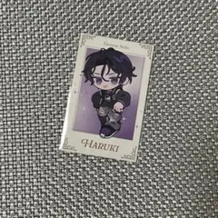 Element Sicks EL6 春希　チェキ風トレカ