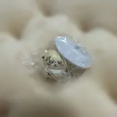 ちいかわ チョコサプ ラッコ