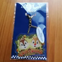 ディズニー アンバサダーホテル チップ デール チャーム キーホルダー