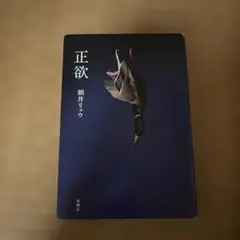 正欲　朝井リョウ　本　小説のサムネイル